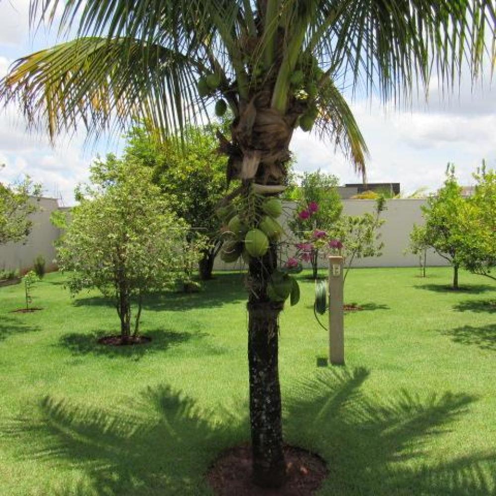 Comprar Casa / Condomínio em Jardinópolis apenas R$ 890.000,00 - Foto 5 Comprar Casa / Condomínio em Jardinópolis apenas R$ 890.000,00 - Foto 5
