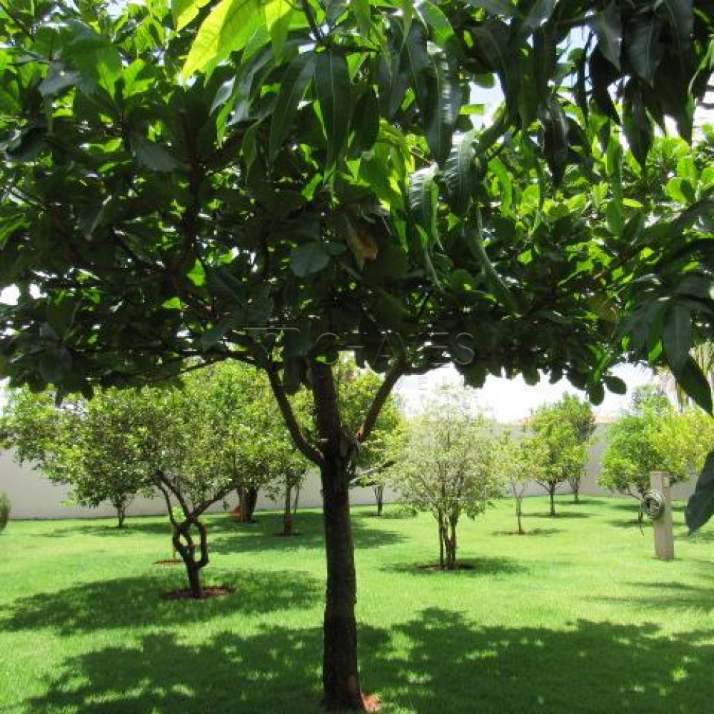 Comprar Casa / Condomínio em Jardinópolis apenas R$ 890.000,00 - Foto 12 Comprar Casa / Condomínio em Jardinópolis apenas R$ 890.000,00 - Foto 12