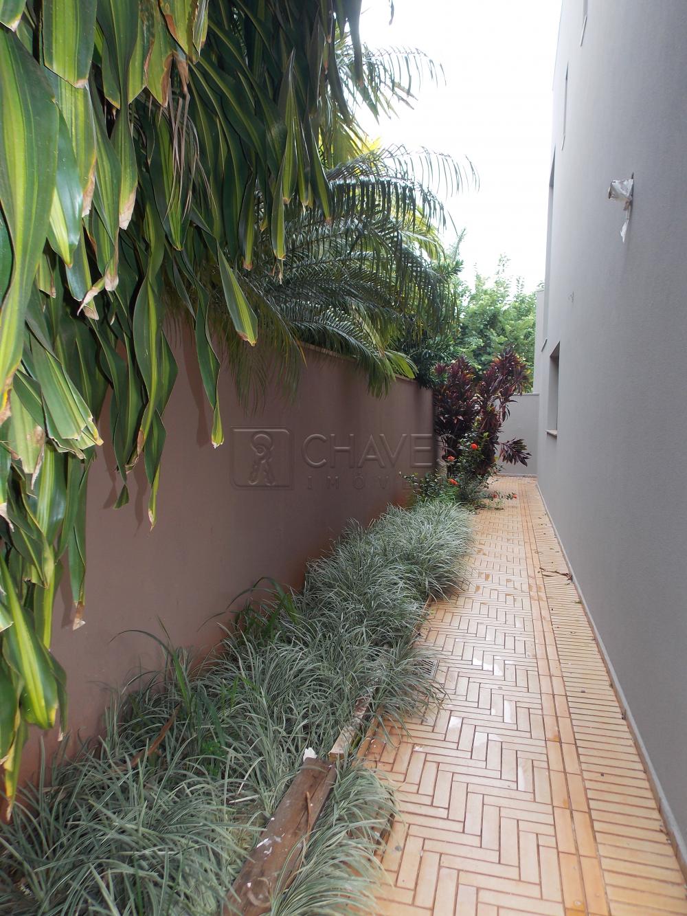 Alugar Casa / Condomínio em Ribeirão Preto apenas R$ 12.000,00 - Foto 4 Alugar Casa / Condomínio em Ribeirão Preto apenas R$ 12.000,00 - Foto 4