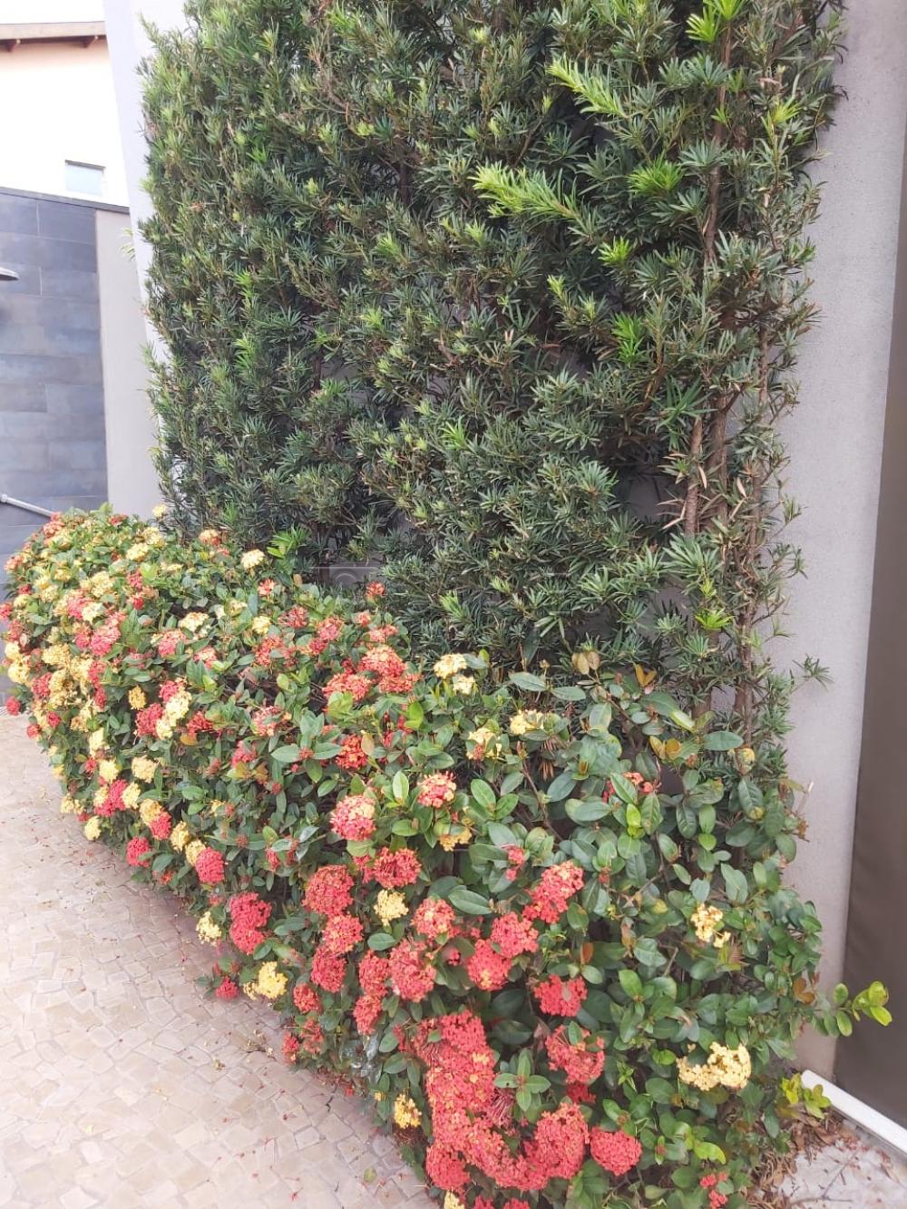 Comprar Casa / Condomínio em Ribeirão Preto apenas R$ 1.700.000,00 - Foto 10 Comprar Casa / Condomínio em Ribeirão Preto apenas R$ 1.700.000,00 - Foto 10