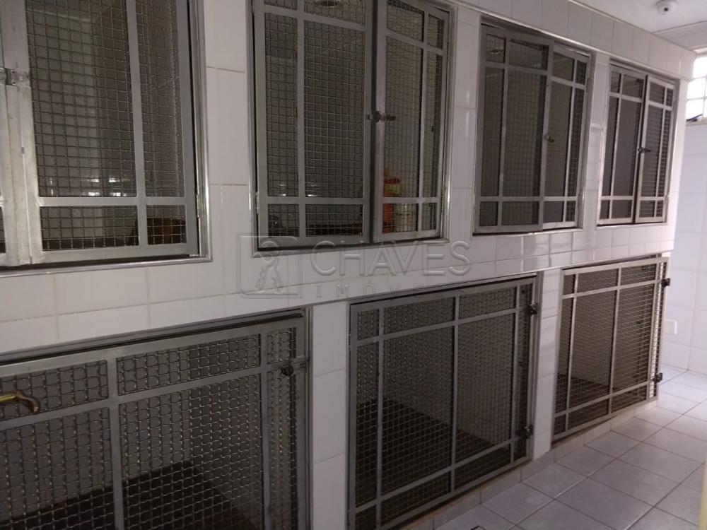 Alugar Comercial / casa em Ribeirão Preto apenas R$ 900,00 - Foto 8 Alugar Comercial / casa em Ribeirão Preto apenas R$ 900,00 - Foto 8