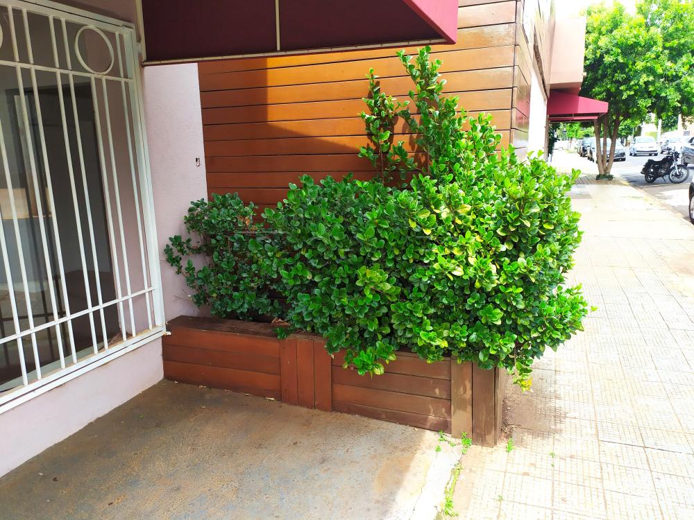 Alugar Casa / Padrão em Ribeirão Preto apenas R$ 7.000,00 - Foto 6 Alugar Casa / Padrão em Ribeirão Preto apenas R$ 7.000,00 - Foto 6