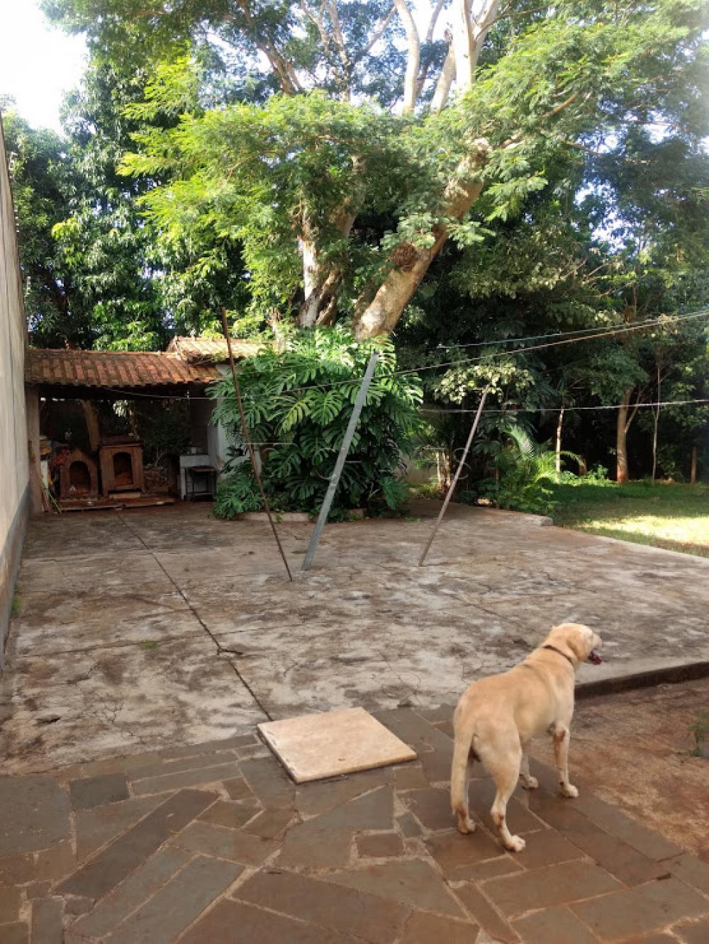 Comprar Casa / Padrão em Ribeirão Preto apenas R$ 1.050.000,00 - Foto 40 Comprar Casa / Padrão em Ribeirão Preto apenas R$ 1.050.000,00 - Foto 40