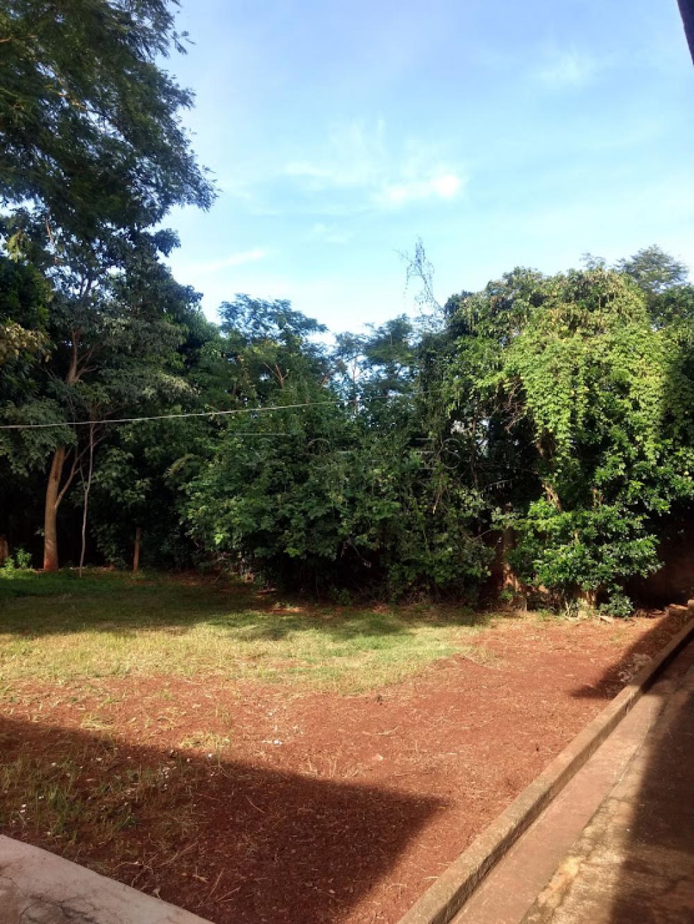 Comprar Casa / Padrão em Ribeirão Preto apenas R$ 1.050.000,00 - Foto 39 Comprar Casa / Padrão em Ribeirão Preto apenas R$ 1.050.000,00 - Foto 39