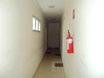 Comercial / Sala em Ribeirão Preto Alugar por R$900,00 Comercial / Sala em Ribeirão Preto Alugar por R$900,00