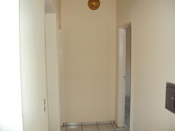 imagem 5 - Apartamento - Padrão imagem 5 - Apartamento - Padrão
