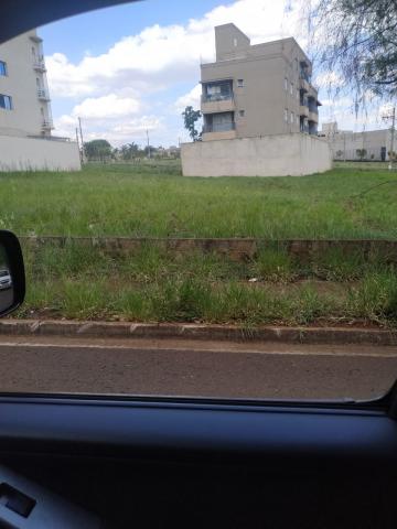 imagem 1 - Terreno - Padrão imagem 1 - Terreno - Padrão