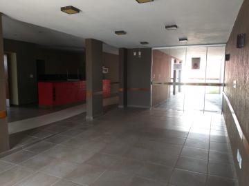Alugar Comercial / Casa em Ribeirão Preto R$ 4.000,00 - Foto 6 Alugar Comercial / Casa em Ribeirão Preto R$ 4.000,00 - Foto 6