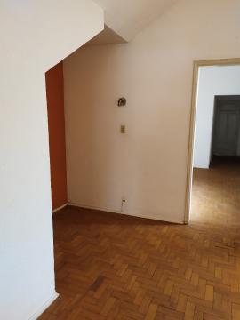 imagem 5 - Casa de 3 quartos para alugar no bairro Higienópolis, 218 m², Zona Central de Ribeirão Preto imagem 5 - Casa de 3 quartos para alugar no bairro Higienópolis, 218 m², Zona Central de Ribeirão Preto