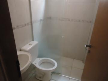 Apartamento para Locação, Jardim Botânico, Ribeirão Preto