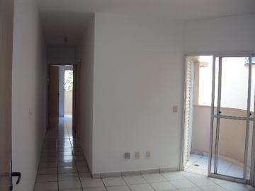 imagem 3 - Apartamento - Padrão imagem 3 - Apartamento - Padrão