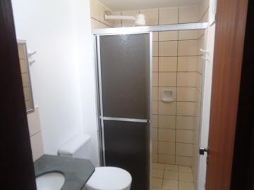 Alugar Apartamento / Padrão em Ribeirão Preto R$ 500,00 - Foto 8 Alugar Apartamento / Padrão em Ribeirão Preto R$ 500,00 - Foto 8