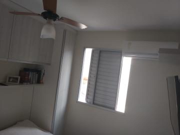 Apartamento / Padrão em Ribeirão Preto Apartamento / Padrão em Ribeirão Preto