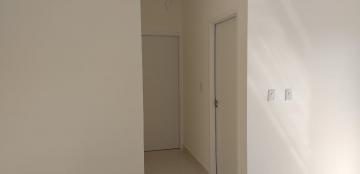 Apartamento / Padrão em Ribeirão Preto Apartamento / Padrão em Ribeirão Preto