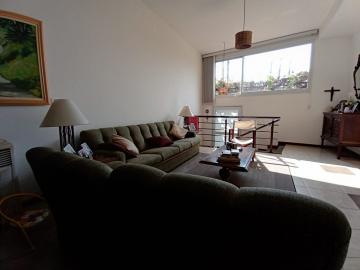 imagem 4 - Casa de 3 quartos à venda no Condomínio Nova Aliança, 247 m², Zona Sul de Ribeirão Preto imagem 4 - Casa de 3 quartos à venda no Condomínio Nova Aliança, 247 m², Zona Sul de Ribeirão Preto