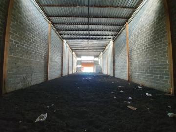 Galpão Comercial, Jardim Zara, Zona Leste de Ribeirão Pret