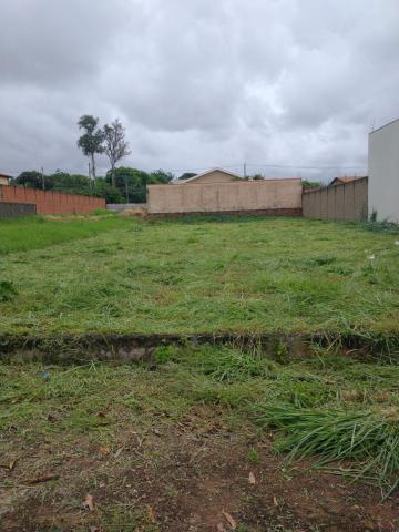 Terreno Comercial, City Ribeirão, Zona Sul de Ribeirão Preto