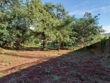 Terreno pra Locaçao, Ribeirania, Ribeirao Preto