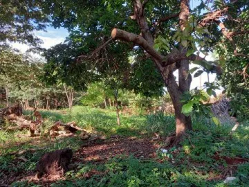 imagem 2 - Terreno pra Locaçao, Ribeirania, Ribeirao Preto imagem 2 - Terreno pra Locaçao, Ribeirania, Ribeirao Preto