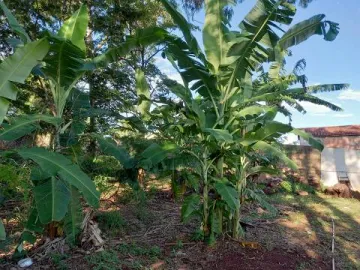 imagem 4 - Terreno pra Locaçao, Ribeirania, Ribeirao Preto imagem 4 - Terreno pra Locaçao, Ribeirania, Ribeirao Preto