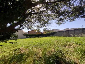 Terreno Misto para Locaçao, Alto da Boa Vista, Ribeirao Preto