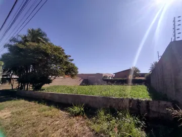 Terreno Misto para Locaçao, Alto da Boa Vista, Ribeirao Preto