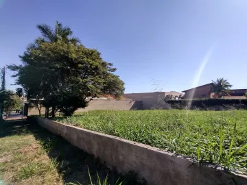 Terreno Misto para Locaçao, Alto da Boa Vista, Ribeirao Preto