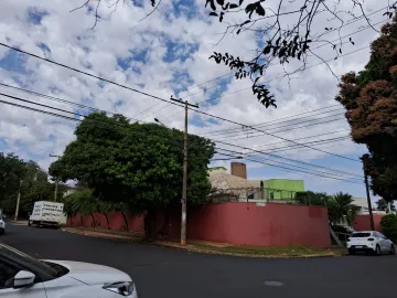 Casa Comercial para Locaçao, Alto da Boa Vista, Ribeirao Preto