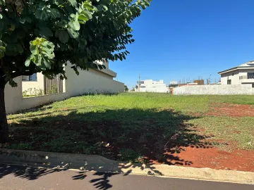 imagem 1 - Terreno Residencial para Venda, Condomínio Alto do Castelo, Ribeirao Preto imagem 1 - Terreno Residencial para Venda, Condomínio Alto do Castelo, Ribeirao Preto