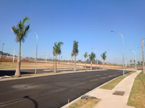 Terreno Residencial para Venda, Residencial Alto do Castelo em Ribeirao Preto