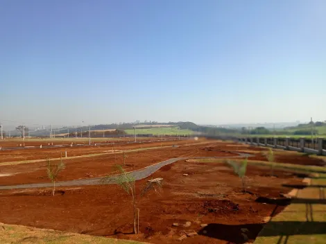 Terreno Residencial para Venda, Residencial Alto do Castelo em Ribeirao Preto