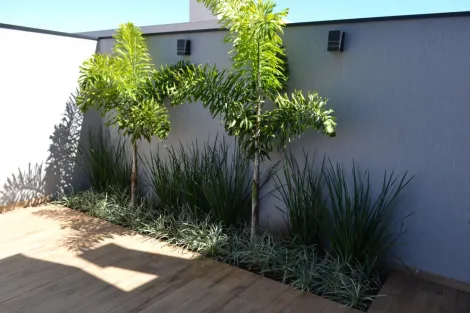 imagem 4 - Casa Térrea para Venda, Condomínio Alto do Castelo em Ribeirao Preto imagem 4 - Casa Térrea para Venda, Condomínio Alto do Castelo em Ribeirao Preto