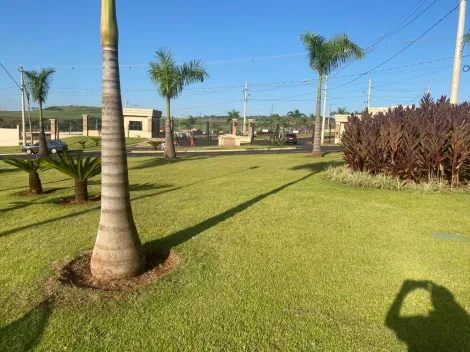 Terreno Residencial para Venda, Condomínio Quinta da Mata em Ribeirao Preto