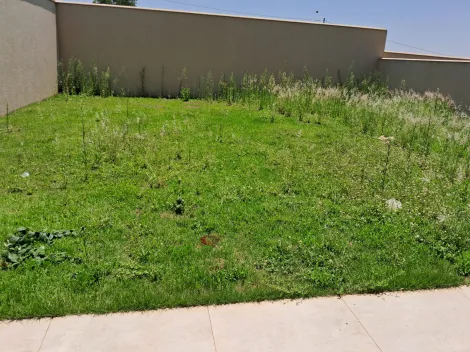 imagem 4 - Sobrado para Venda, Residencial Formosa, Vila do Golf em Ribeirao Preto imagem 4 - Sobrado para Venda, Residencial Formosa, Vila do Golf em Ribeirao Preto