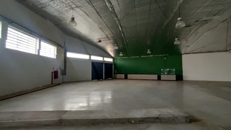 Salão Comercial para Locação, Vila Seixas, Ribeirão Preto