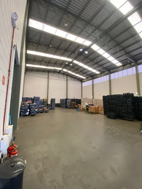 imagem 2 - Galpão comercial de 800 m² para alugar na Av. Barão do Bananal, Zona Leste de Ribeirão Preto imagem 2 - Galpão comercial de 800 m² para alugar na Av. Barão do Bananal, Zona Leste de Ribeirão Preto