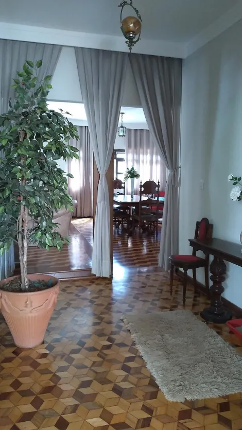 imagem 4 - Casa térrea de 4 quartos para alugar no Jardim Sumaré, 379,6 m², Jardim Sumaré zona sul de Ribeirão Preto imagem 4 - Casa térrea de 4 quartos para alugar no Jardim Sumaré, 379,6 m², Jardim Sumaré zona sul de Ribeirão Preto