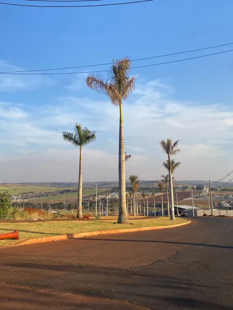 imagem 5 - Terreno em Condomínio de 262 m², à venda no Condomínio  Jardins do Mirante, Jardim Olhos D`Água, zona sul de Ribeirão Preto imagem 5 - Terreno em Condomínio de 262 m², à venda no Condomínio  Jardins do Mirante, Jardim Olhos D`Água, zona sul de Ribeirão Preto