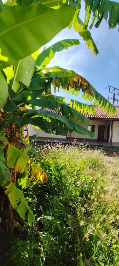imagem 4 - Casa Edícula comercial de 96 m², para alugar no Alto da Boa Vista, zona sul de Ribeirão Preto imagem 4 - Casa Edícula comercial de 96 m², para alugar no Alto da Boa Vista, zona sul de Ribeirão Preto