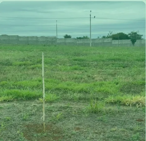 imagem 1 - Terreno em Condomínio à venda no Condomínio Jardins do Parque Village Costa Sul,275m²,Bonfim Paulista, Ribeirão Preto imagem 1 - Terreno em Condomínio à venda no Condomínio Jardins do Parque Village Costa Sul,275m²,Bonfim Paulista, Ribeirão Preto
