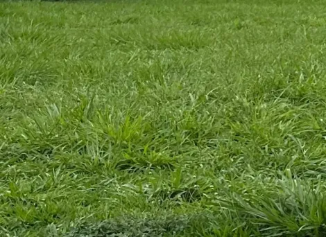 imagem 1 - Terreno em condomínio de 662 m² à venda no Condomínio Alphaville II, zona sul de Ribeirão Preto imagem 1 - Terreno em condomínio de 662 m² à venda no Condomínio Alphaville II, zona sul de Ribeirão Preto